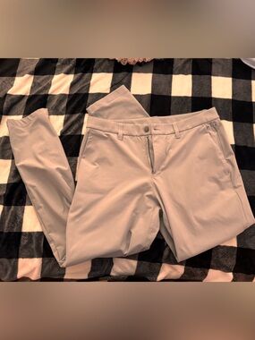 Men’s Lulu Lemon ABC pants